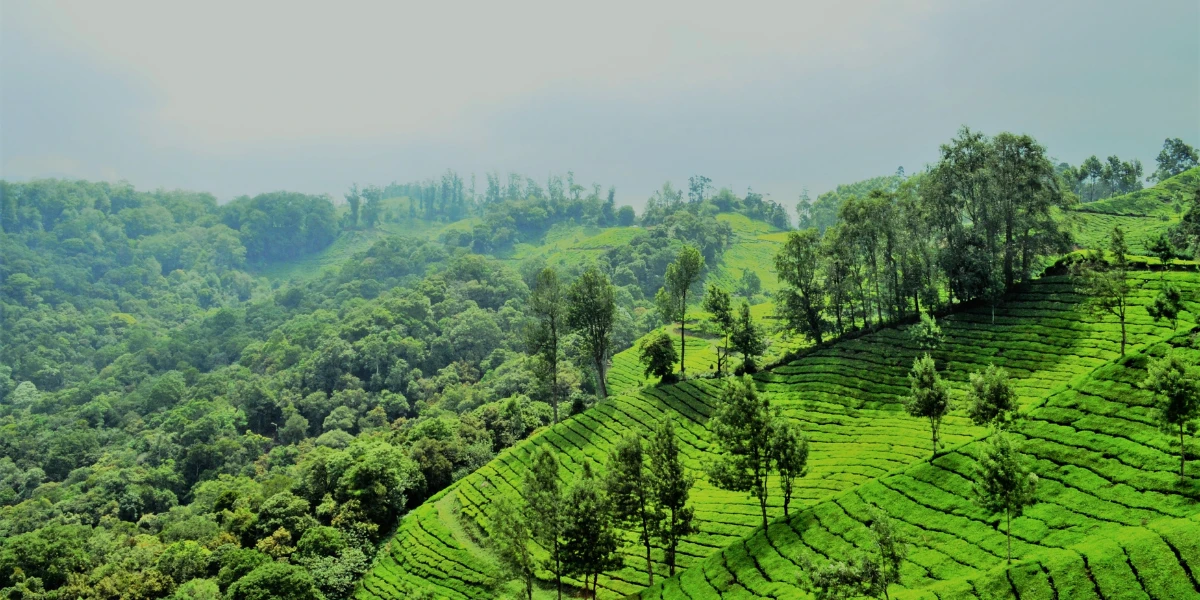 7 Days Kerala Tour Package